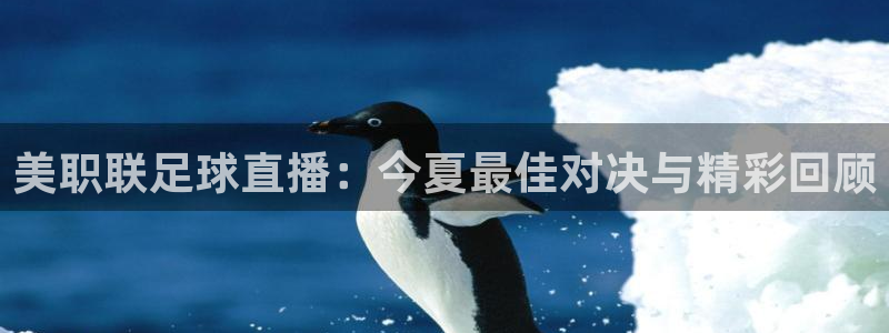 美职联足球直播：今夏最佳对决与精彩回顾