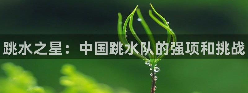 跳水之星：中国跳水队的强项和挑战