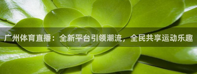 广州体育直播：全新平台引领潮流，全民共享运动乐趣
