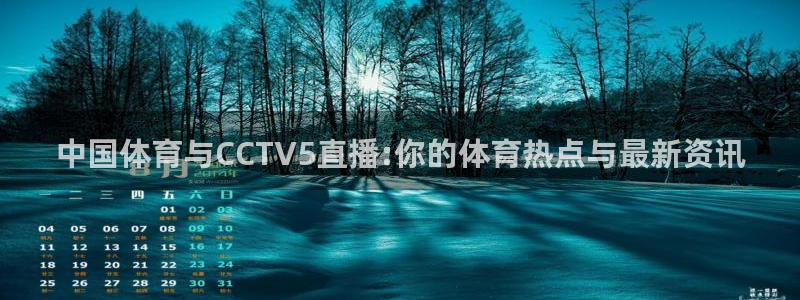 中国体育与CCTV5直播:你的体育热点与最新资讯